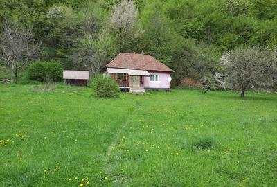 Casă cu 2 camere cu Teren 4721 Mp în Lunca Vișagului - 5