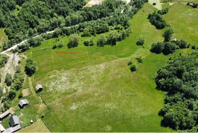 Teren intravilan si extravilan in Bucovina , Salatruc , Vama , Suceava - 4