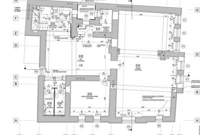 Investitie Vila Istorica reconstruita integral, inchiriata - 25