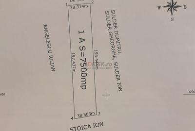 Teren Construcții intravilan de 2500 mp, în Ciorogârla - 3