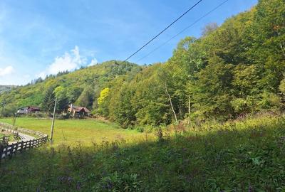 Spațiu comercial, în Măguri - 4