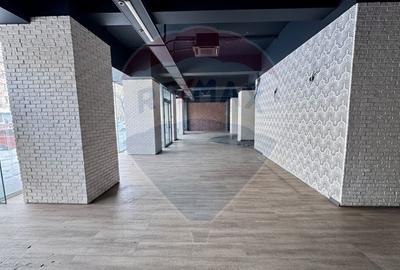 Spațiu comercial, de 272 mp, în Moșilor - 9