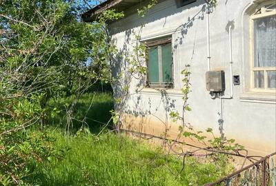 Casa de vanzare cu teren. - 6