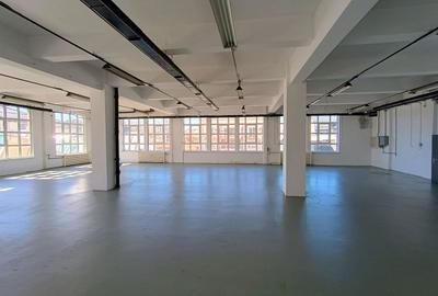 Birou, de 300 mp, în Iancului - 5