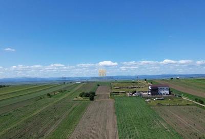 Teren Intravilan 36977 mp E 85 Intrare in Municip... - 4