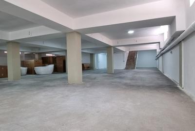 Demisol Locuibil - Amenajat Depozitaret - 2