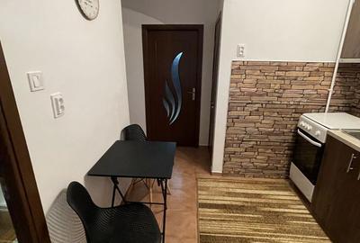 Garsonieră decomandată în Tudor - 3