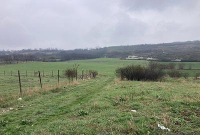 Miroslava! Teren agricol 6435, la 2 min de Primarie! Miroslava! Teren agricol 6435, la 2 min de Primarie! - 3