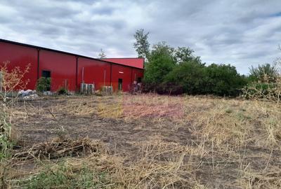 Movilita (IL)-teren de inch. 1800 mp stradal, 30 ml desch... - 2