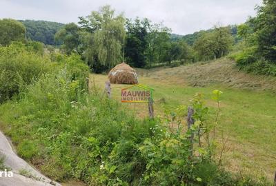 Spațiu comercial, în Vărbila - 3