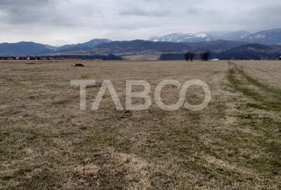 Teren intravilan 15.000 mp Front 47 m DN7 in Talmaciu zona industriala - 2