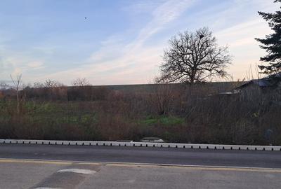 Teren în Cornetu - 4