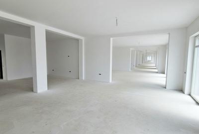 Spatiu Comercial cu Vitrine, Open Space, 620 mp, 18 parcari, Str. Doamna Stanca - 2