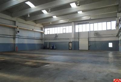 Hala cu pod rulant, de vanzare sau de inchiriat, in Zona Industriala de vest! - 13
