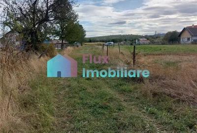 Casă cu 4 camere cu Teren 8450 Mp în Central - 5