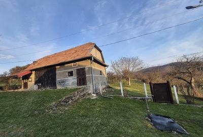 Casă cu 3 camere cu Teren 3000 Mp în Ciucea - 2