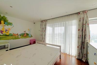 Apartament cu 4 camere decomandat, mobilat în Domenii - 18
