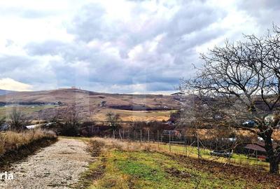 Spațiu comercial, în Sopor