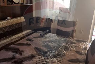 Casa / Vila cu 6 camere de vanzare in zona Sud Casa / Vila cu 6 camere de vanzare in zona Sud - 10