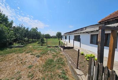 Casa si teren 3500 mp, Stefanesti - Golesti - 11