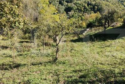 Teren de 2406 mp, în Central - 3