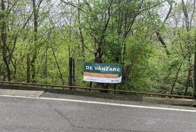 Teren intravilan, 900 (mp), zona Cornu de sus - 10