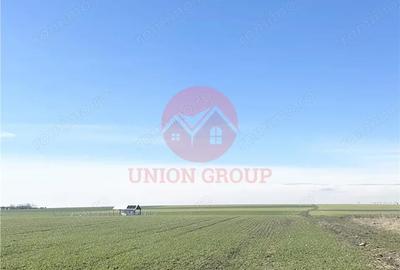 Teren de 700 mp, în Sud - 1