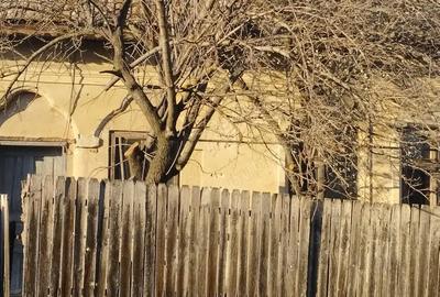 Casă cu 4 camere în Obârșia - 2