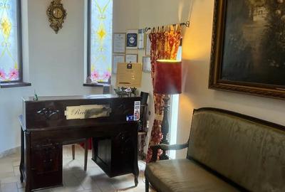 DE VANZARE Park Villa Boutique Hotel4*Zona istorica Timisoara - 1