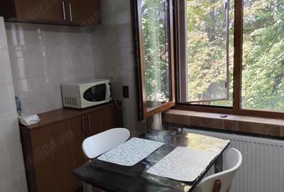 Inchiriere apartament o camera - 6