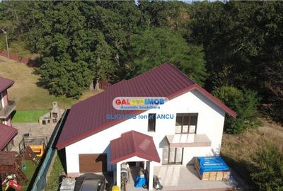Vila cu garaj Padurea Pantelimon - 4 camere - 15