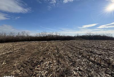 Spațiu comercial, în Central