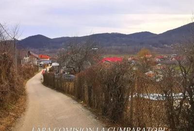 Teren în Vlădesti - 5