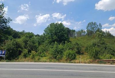 Teren Construcții intravilan de 2000 mp, în Calea Caransebeșului - 17