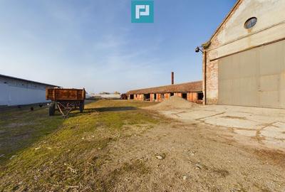 Teren ?i hale pe Calea Aradului din Periam - 2