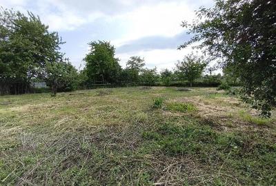 Teren de 700 mp, în Șerbănești - 4