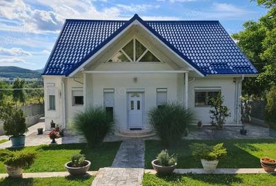 Vila cu piscina de vanzare in Curtea de Arge?. - 6