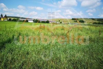 Teren de vanzare in Iclod   DN 1,  ICLOD 5.436 mp - 4