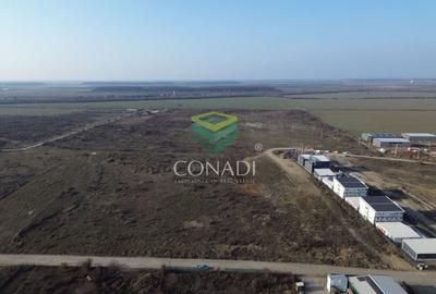 Teren de vanzare cu autorizatie pentru 2 hale - Otopeni - 10.000 mp - 9