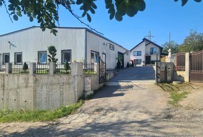 Casă cu 4 camere cu Teren 1750 Mp în Central - 9