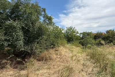 Teren agricol intravilan de 2179 mp, în Domnești