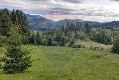 O fereastra catre cer teren de vis in Fundata, la ... - 23