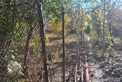 Proprietar vând casă cu grădină două apartamente, Mehala  suprafată totală 739 m - 16