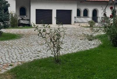 Domeniu  in Prahova- probabil una dintre cele mai frumoase reședințe - 4