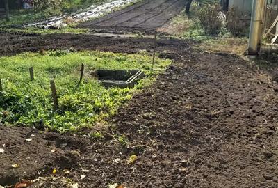 Vand casa Bagara (Aghiresu) - 6