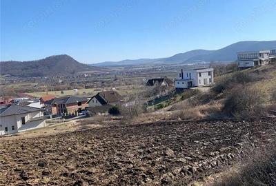 Teren de 1700 mp, în Viișoara - 1