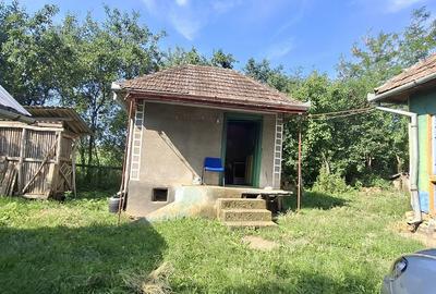 Casă cu Teren 2400 Mp în Mănăștur - 2