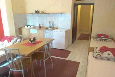 Garsonieră în P-ța Universității