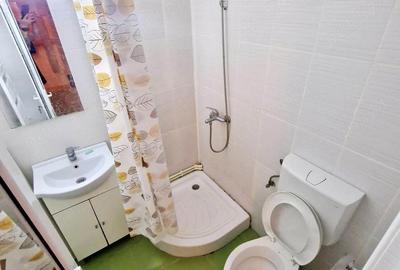 Apartament cu 2 camere decomandat în Ultimul leu - 3
