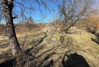 Teren Construcții intravilan de 3341 mp, în Exterior Est - 2